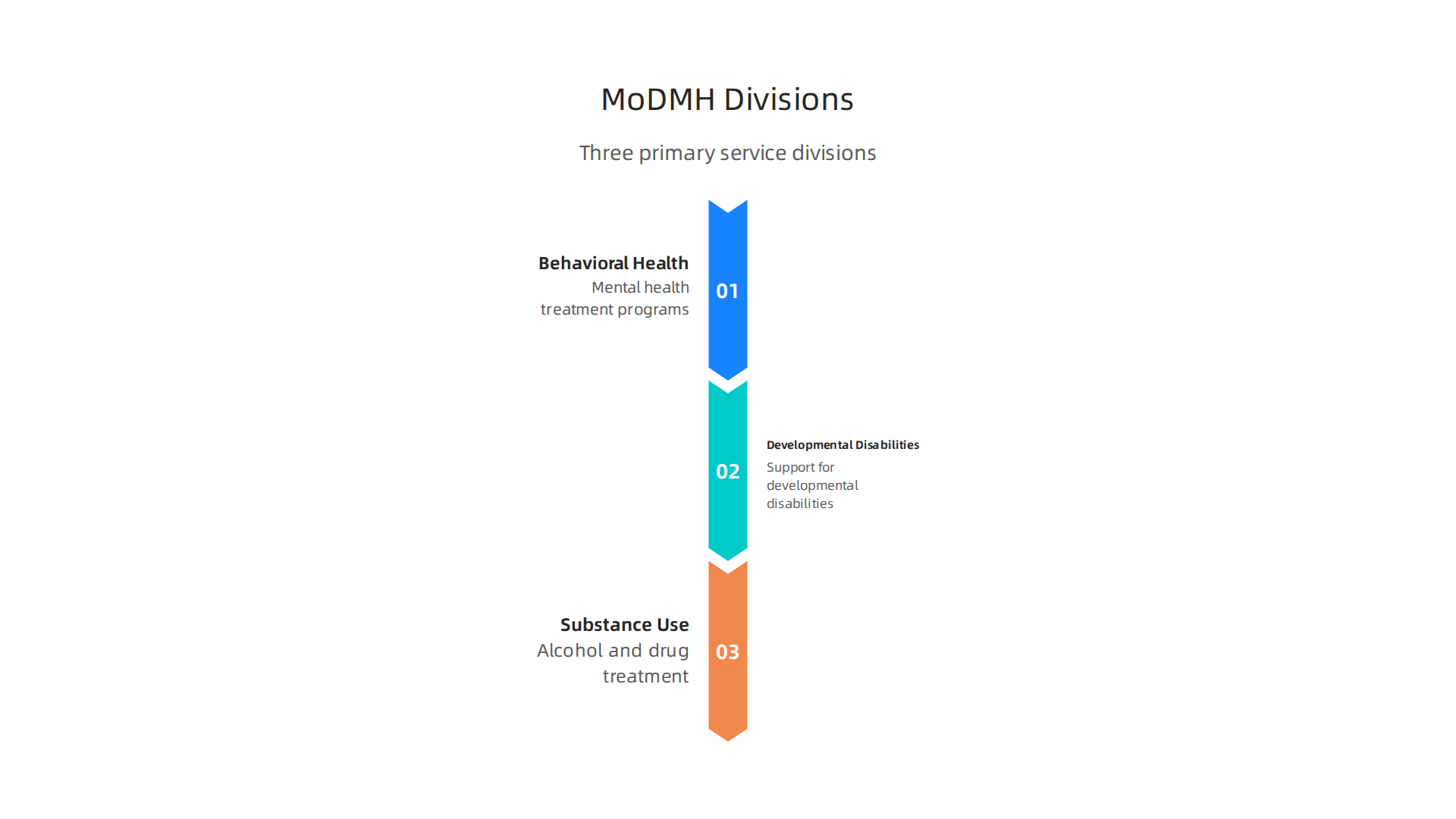 The MoDMH organizes its services across three key divisions to address diverse mental health needs.