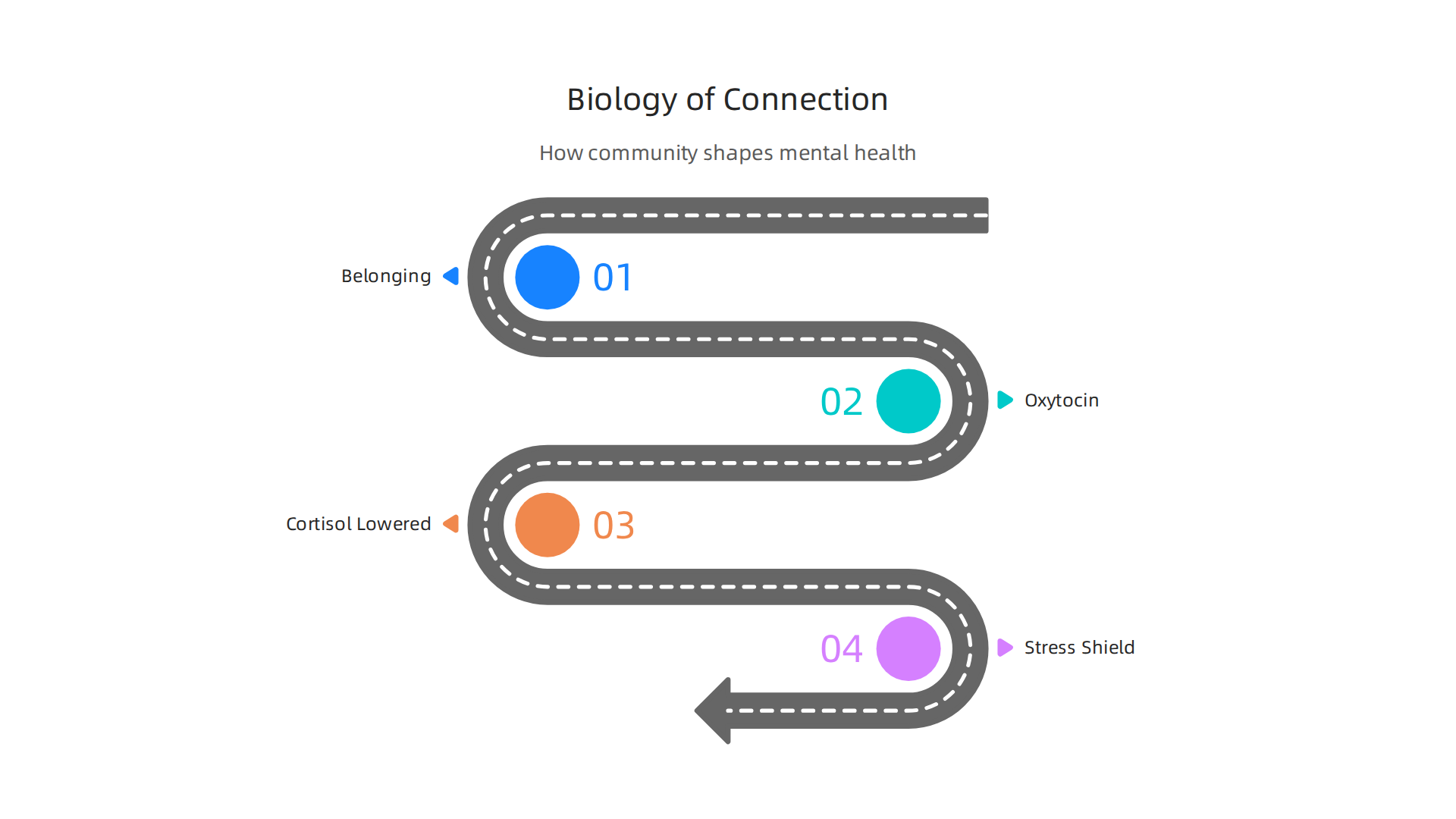 How social connection biologically impacts mental health by influencing hormones.
