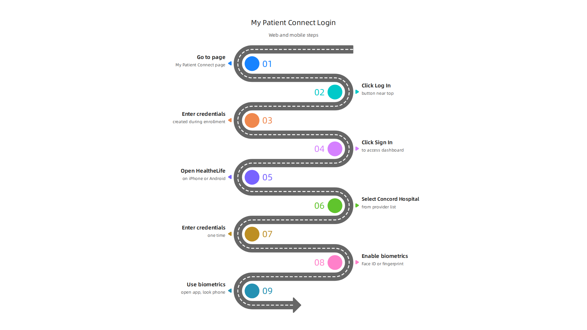 Step-by-step instructions for logging into the My Patient Connect portal using a web browser.