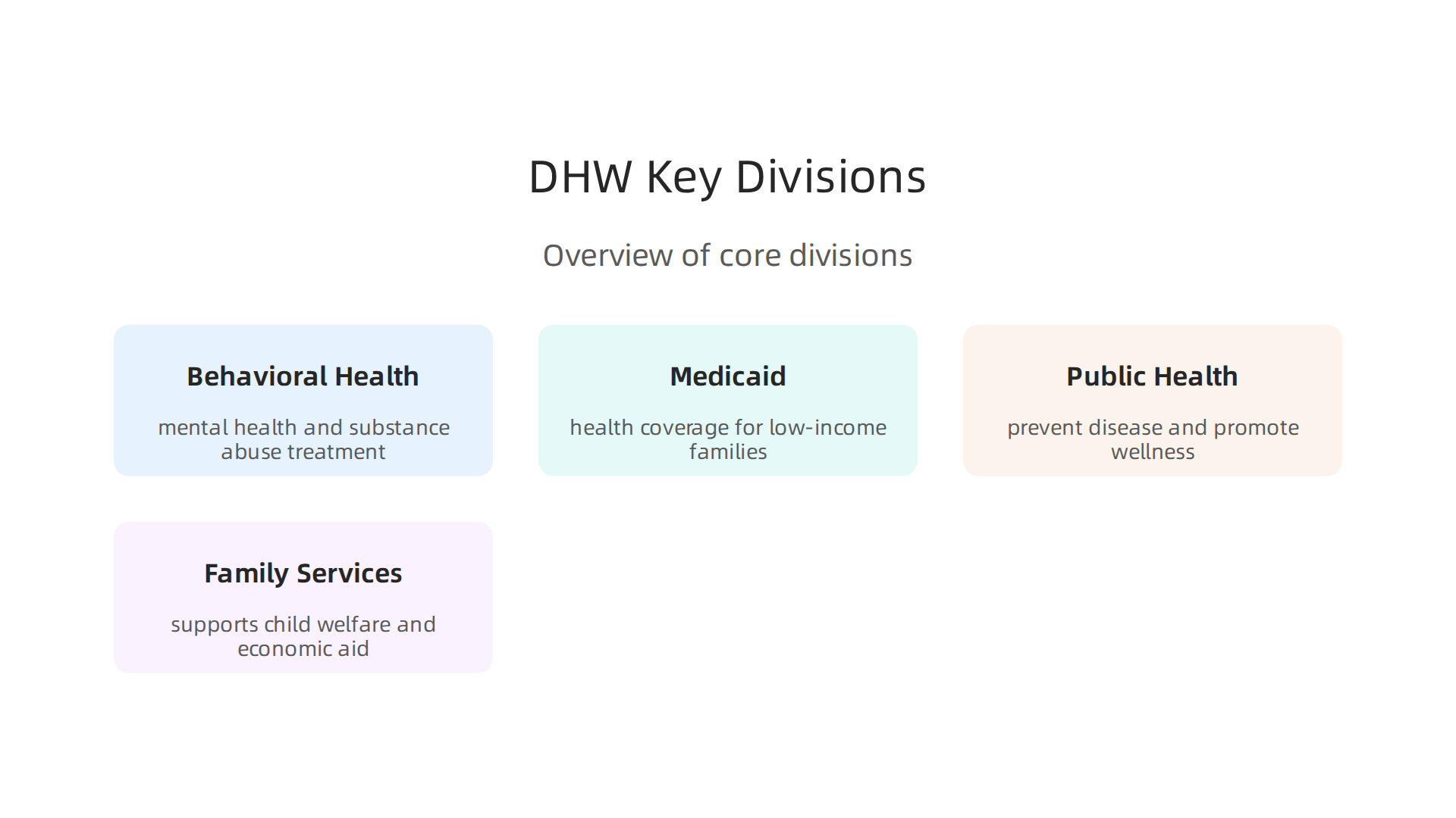 An overview of the core divisions within the Idaho Department of Health and Welfare, each focused on distinct public services.