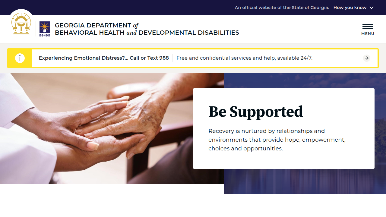 The Georgia Department of Behavioral Health and Developmental Disabilities partners with DCH to deliver comprehensive mental health support.